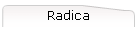Radica