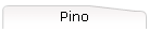 Pino