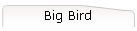 Big Bird