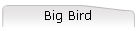 Big Bird