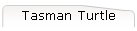 Tasman Turtle